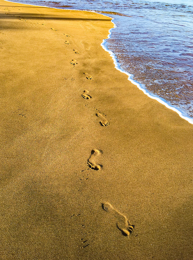Footprints in the Sand Photograph by Bob Mintie