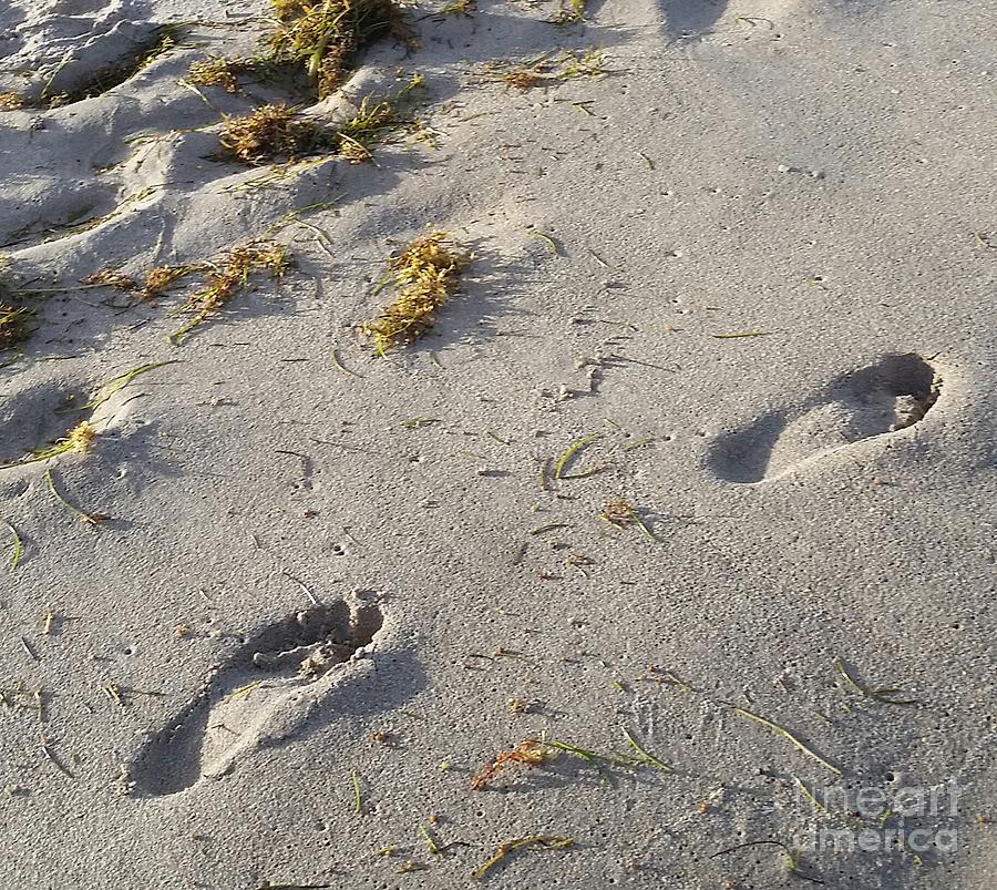 Paradise Photograph - Footprints in the Sand by Brigitte Emme