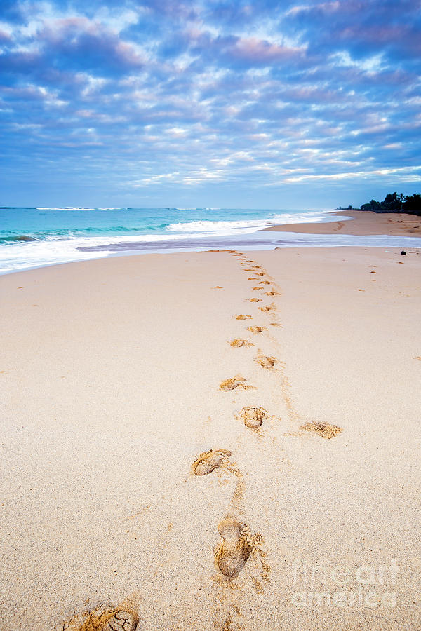 Footprints in the sand Photograph by Daryl L Hunter - Fine Art America