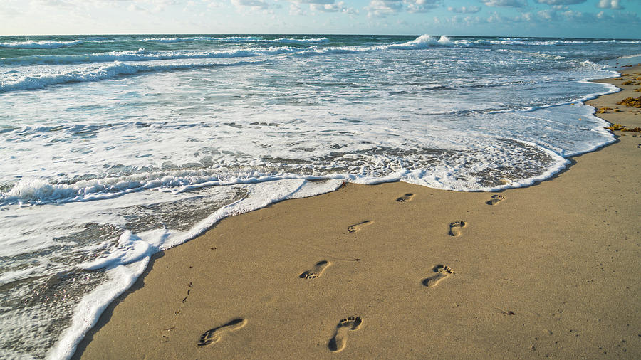 Footprints in the Sand Delray Beach Florida Photograph by Lawrence S Richardson Jr