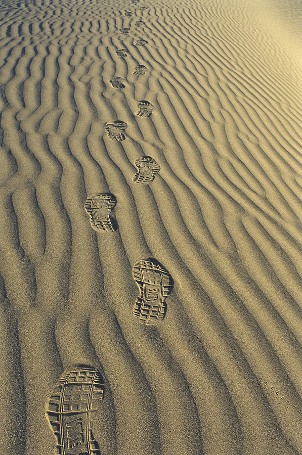 Footprints in the Sand Photograph by Joe  Palermo