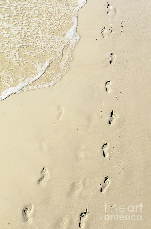 Footprints in the Sand Photograph by Randy J Heath