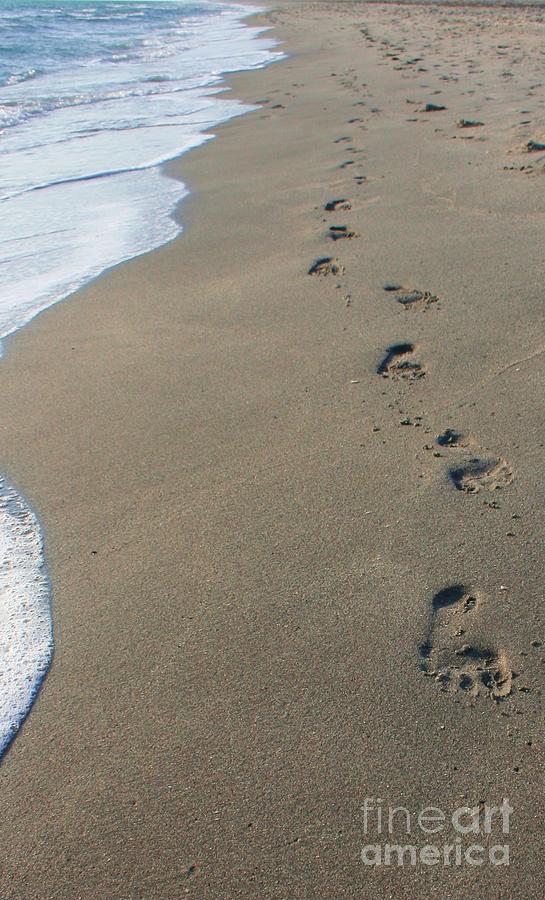 Footprints in the Sand Photograph by Robert Wilder Jr