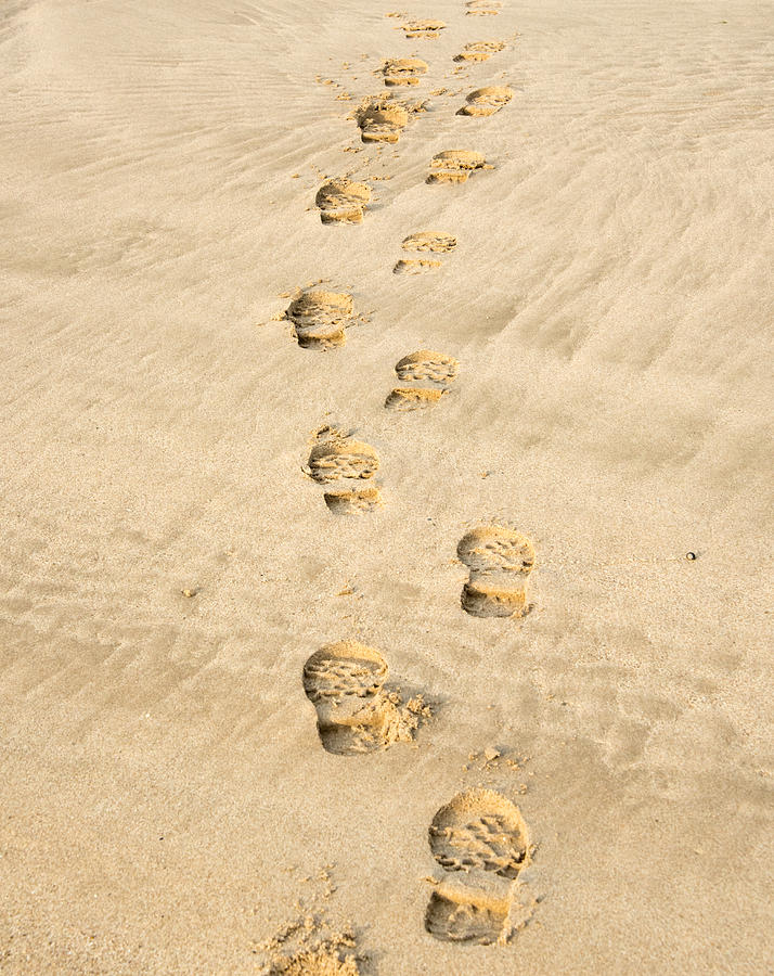 Footprints in the Sand Photograph by Roy Pedersen