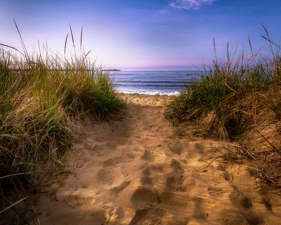 Footprints in the Sand Photograph by Shawn Einerson | Fine Art America