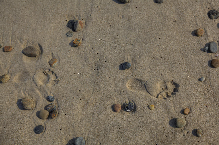 Footprints in the sand Photograph by Steve Gravano