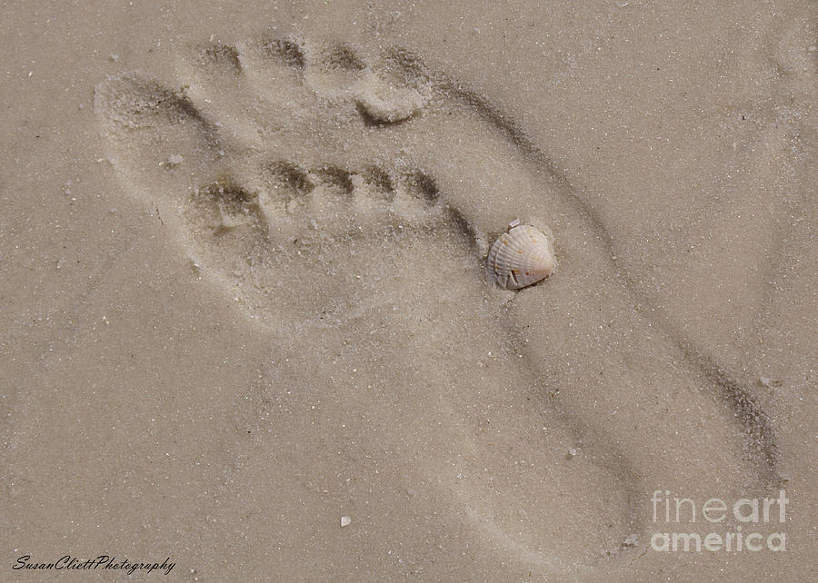 Footprints in the Sand Photograph by Susan Cliett