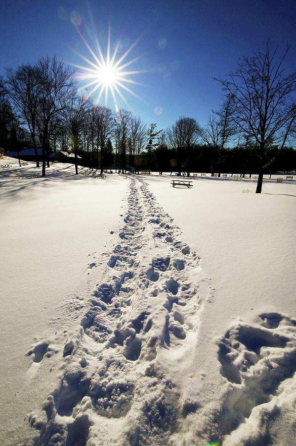 Footprints in the Snow Photograph by David Stasiak