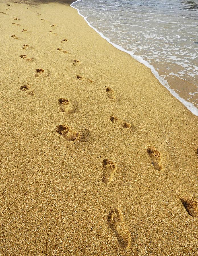 Footprints On Beach Sand Photograph By Poornima Viswanathan