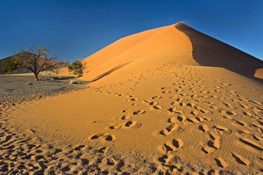 Footprints on Dune 45 Photograph by Aivar Mikko