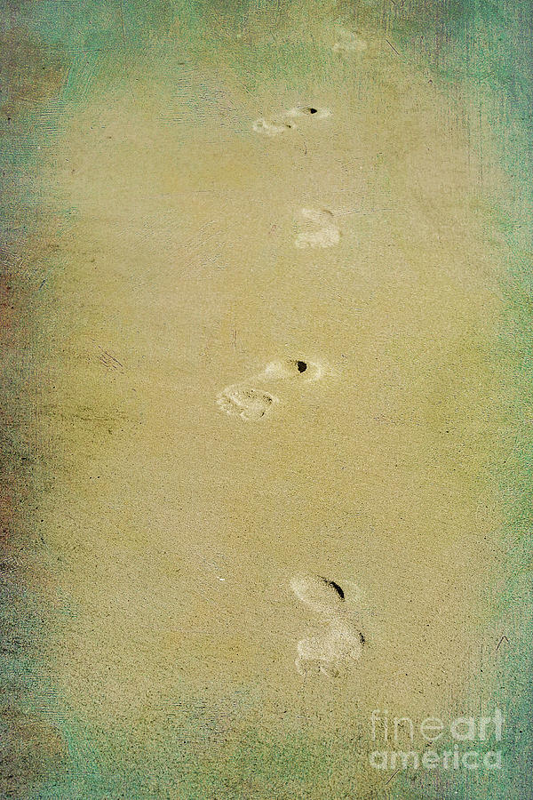 Footprints on the Beach Photograph by Randy Steele