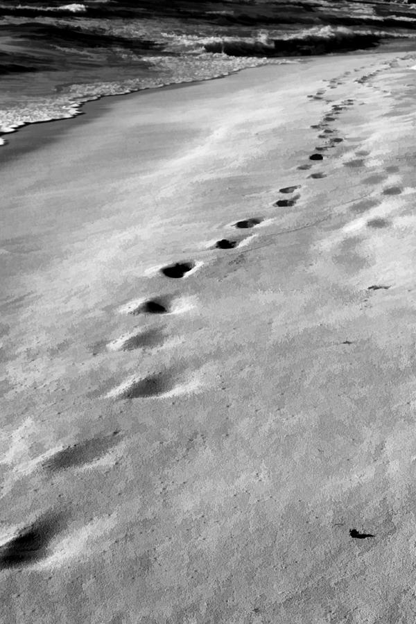 Footprints on the Beach Photograph by Peter Penny - Fine Art America