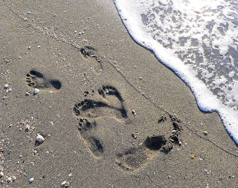 Footprints Photograph by Rosalie Scanlon