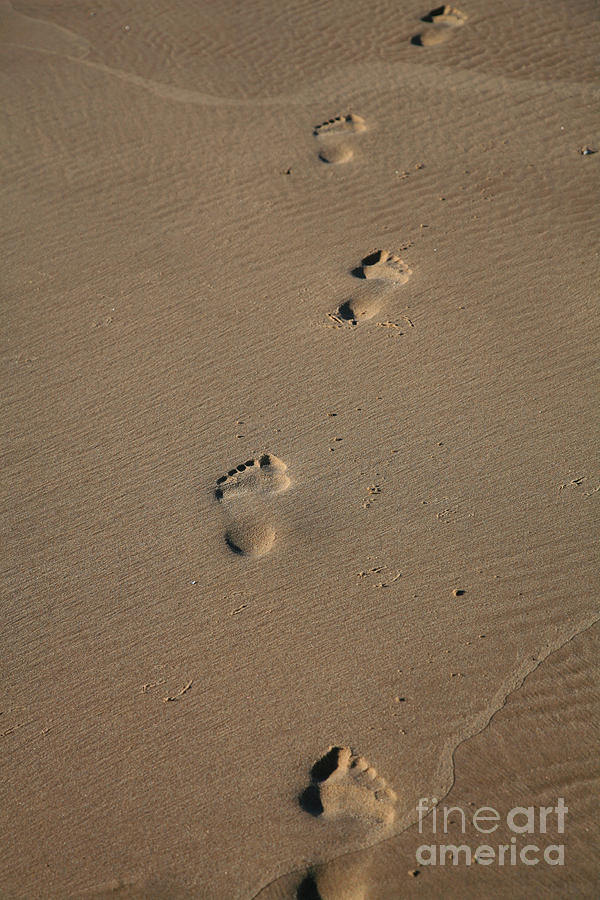 Footprints Photograph by Timothy Johnson