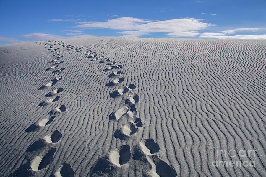 Footprints to the Sky Photograph by Brian Kamprath