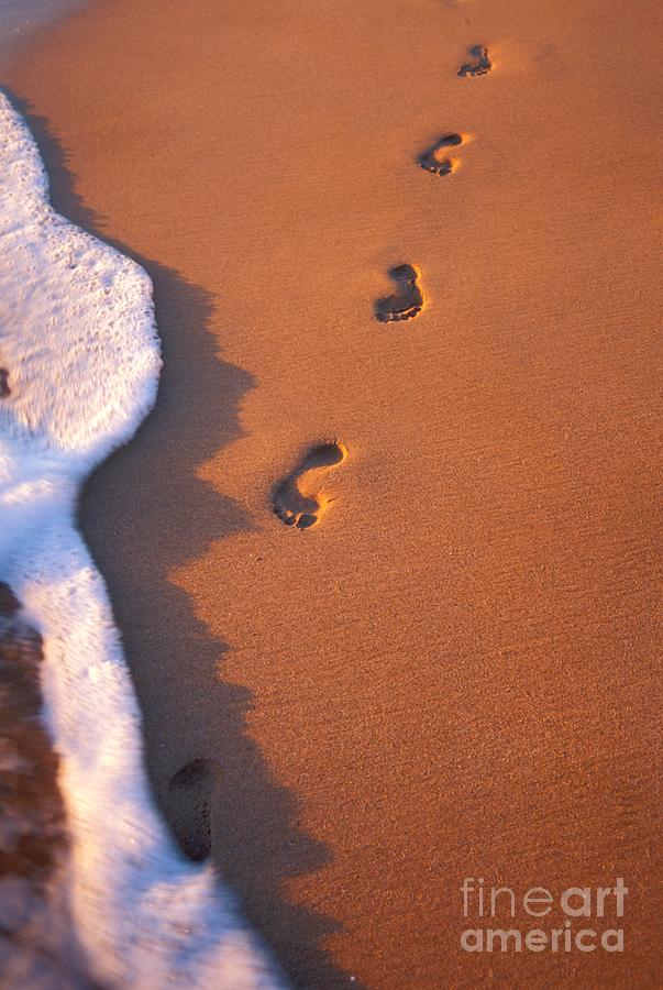 Footprints Photograph by Tomas del Amo - Printscapes