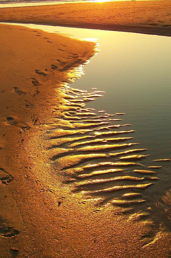 Footprints Photograph by Trish Tritz