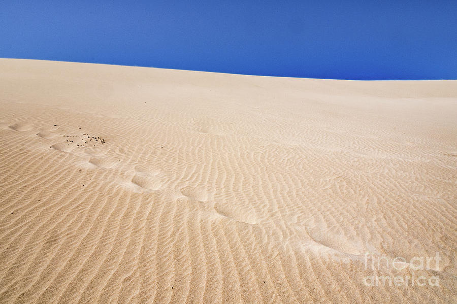 Footprints Photograph by Werner Padarin
