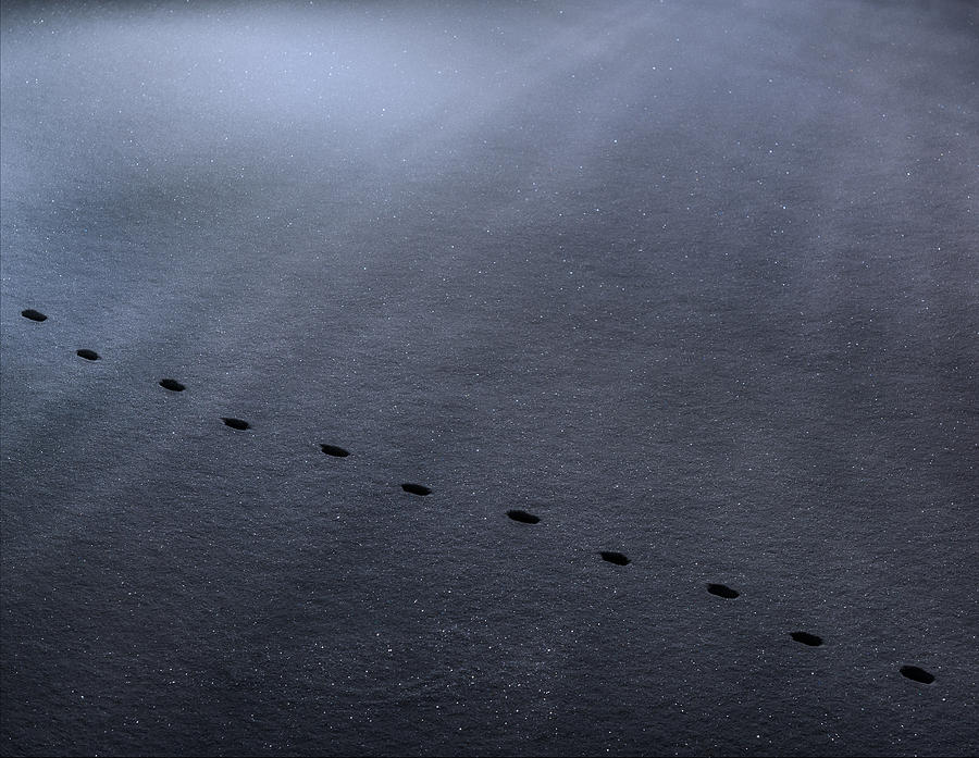 Footsteps #1 Photograph by Steven Maxx