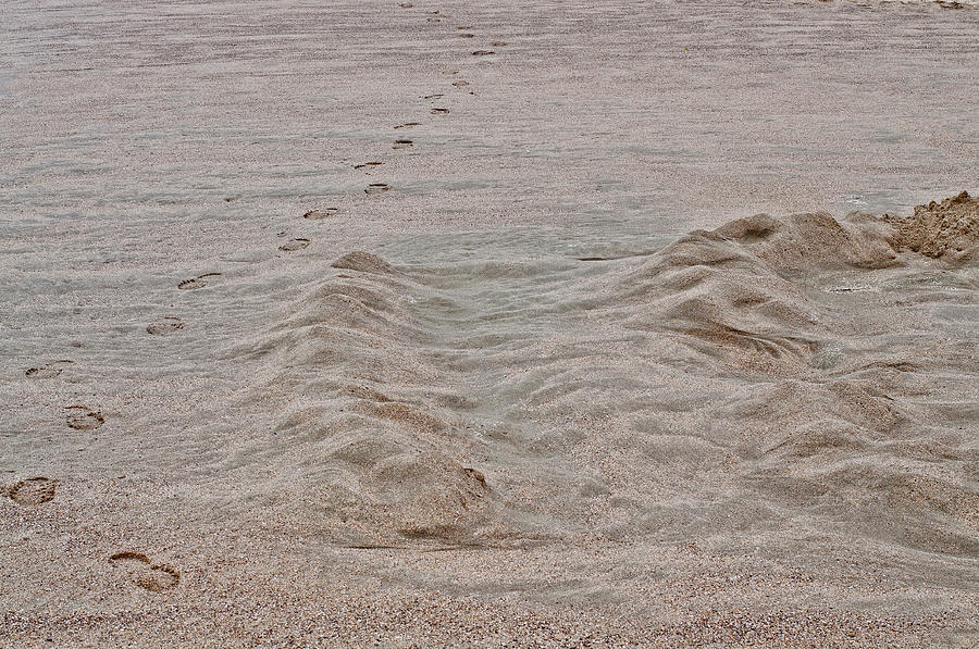 Footsteps Abstract Photograph by Denise Elfenbein