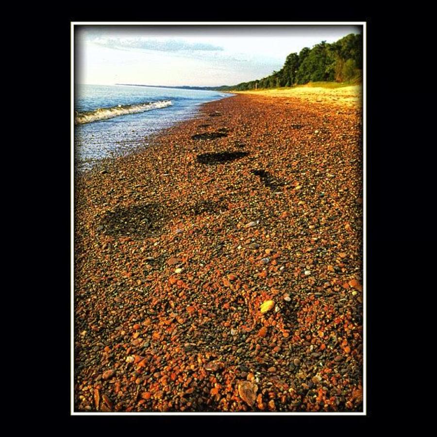 Nature Photograph - Footsteps Fade Even As More Are Made by Nick Heap