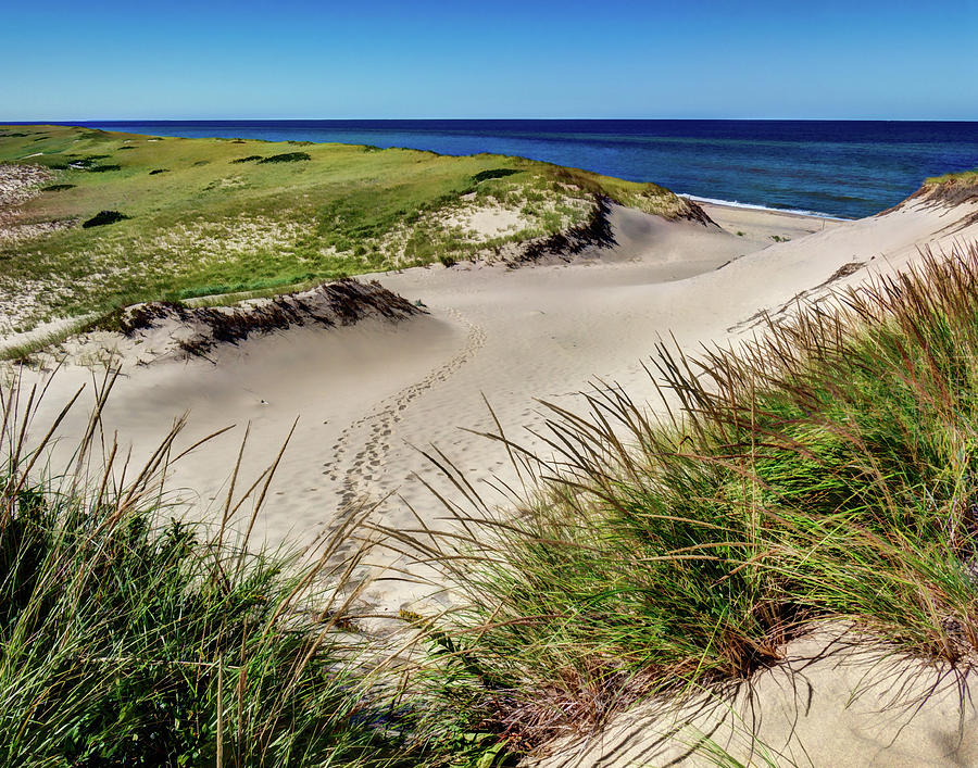 Footsteps in the Dunes Photograph by David Thompsen