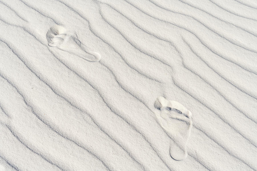 Footsteps in the Sand Photograph by Framing Places