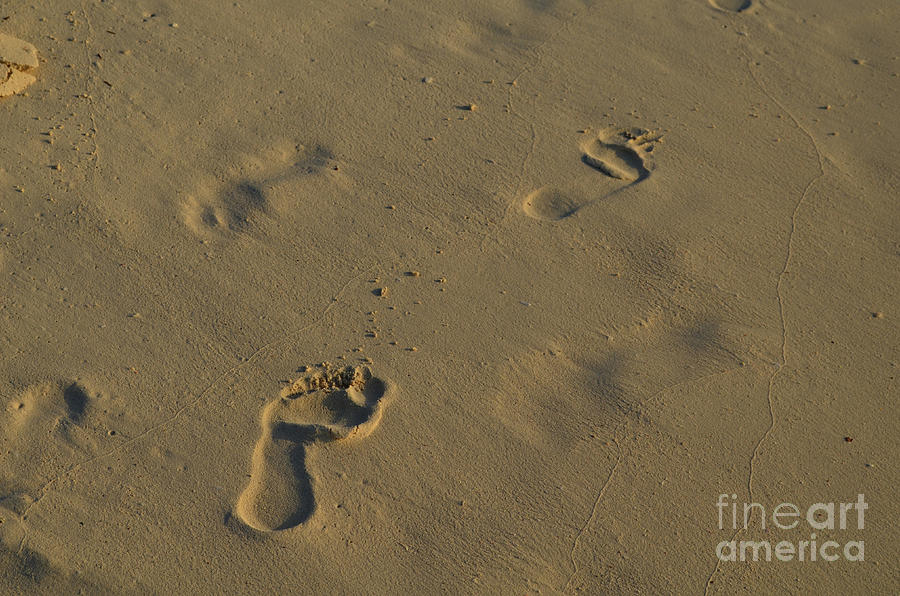Footsteps in the Soft Sand of an Aruba Beach Photograph by DejaVu Designs