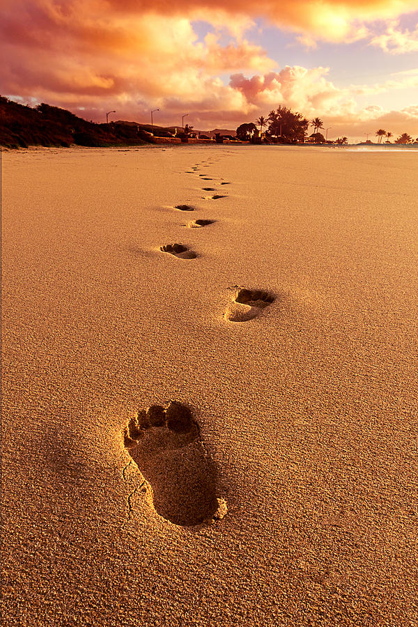 Footsteps Photograph by James Roemmling