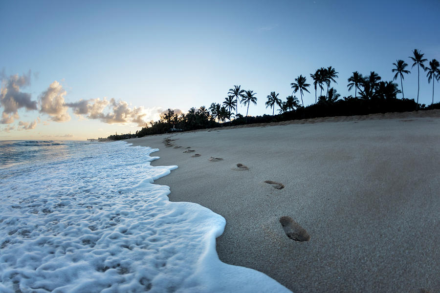 Footsteps to Paradise Photograph by Sean Davey