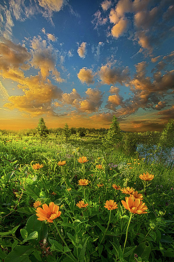 Summer Photograph - For A Moment All The World Was Right by Phil Koch