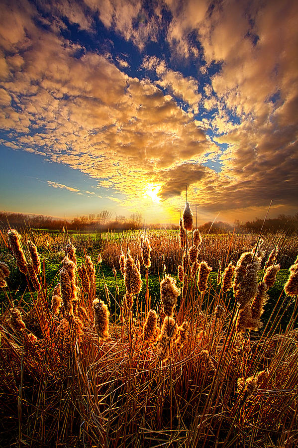 For A Moment Photograph by Phil Koch