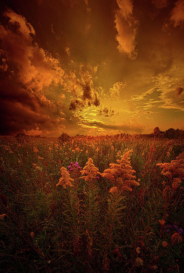 For Body Mind and Soul Photograph by Phil Koch