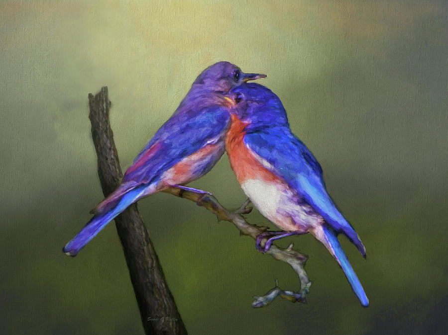 For Love Of Bluebirds Photograph by Sandi OReilly