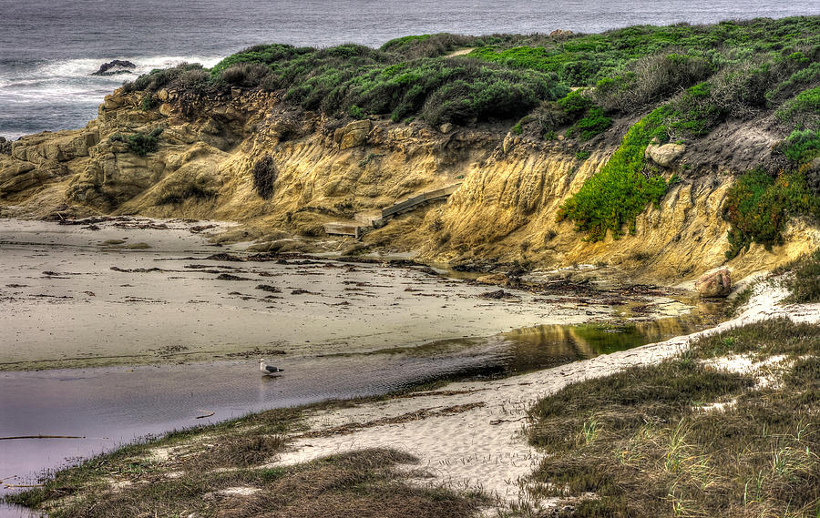For Now I Prefer This Quiet Tidepool - 17-Mile Drive, Monterey Peninsula - Central California Coast Photograph by Michael Mazaika