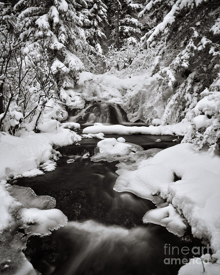 For Now, Winter Photograph by Royce Howland