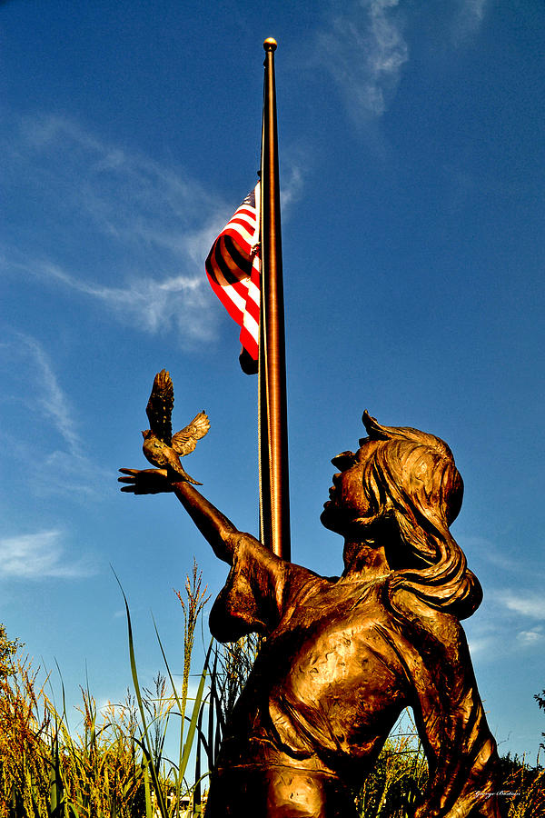 Flag Photograph - For Our Fallen by George Bostian