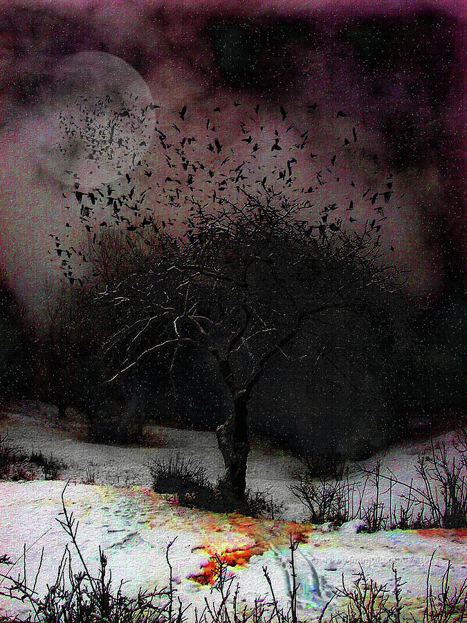 Starlings Digital Art - for Sledding and Starlings by Mimulux Patricia No