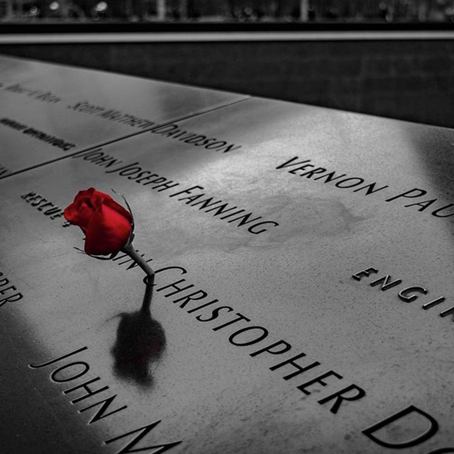 Rose Photograph - 🌹for The Fallen #nyc #nikon by AJS Photography