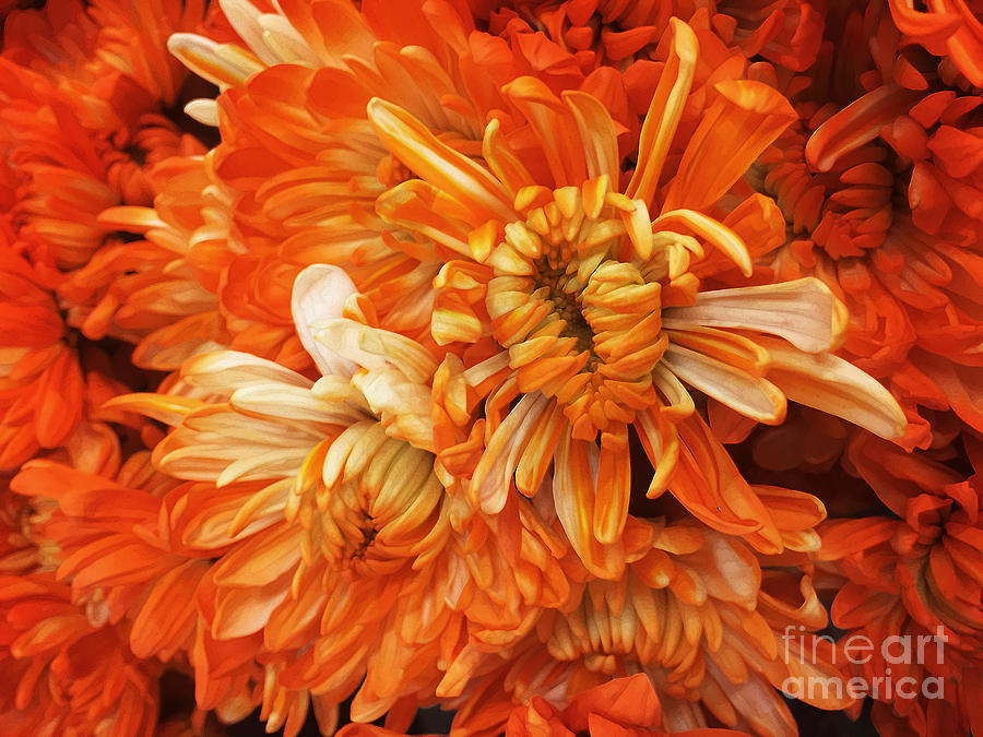 For The Next Orange ... by Frank Merrem For The Next Orange ... by Frank Merrem