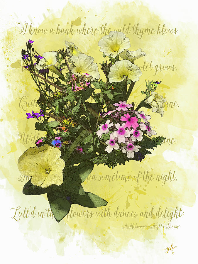 Flower Digital Art - For Titania by Gina Harrison