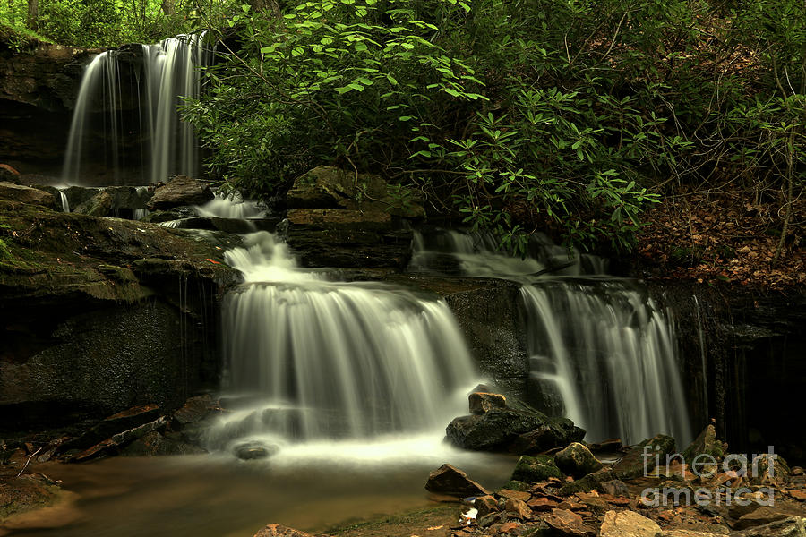 Forbes Forest Cascades Photograph by Adam Jewell