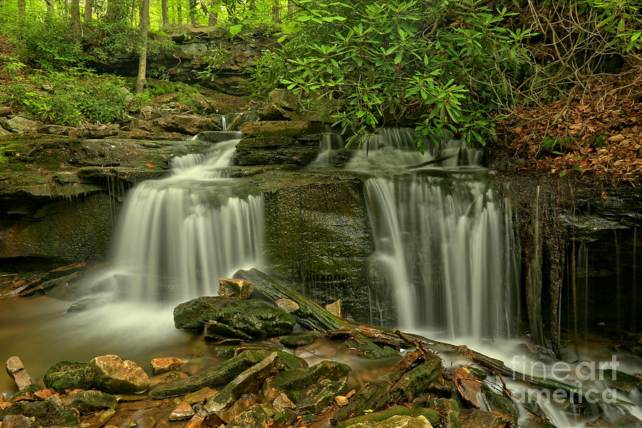 Forbes State Forest Twin Falls Photograph by Adam Jewell