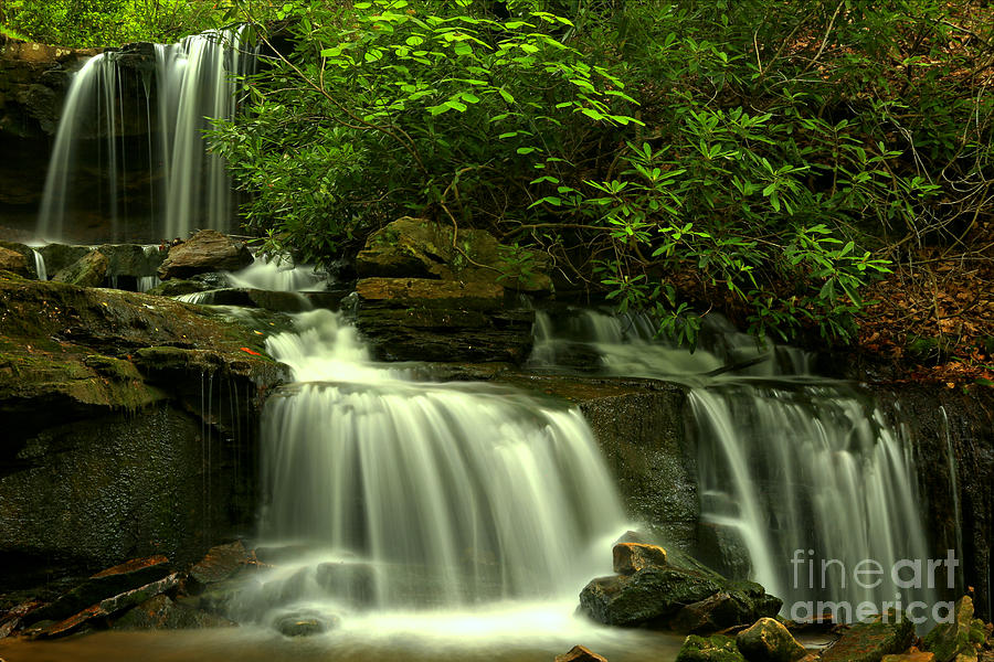 Forbes State Forest Waterfall Photograph by Adam Jewell