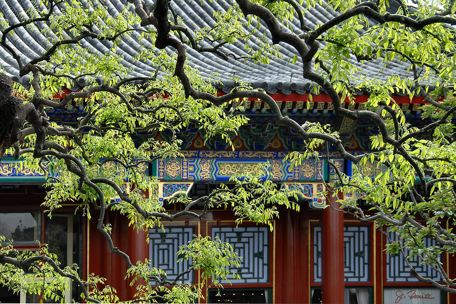 Forbidden City Serenity Photograph by Joe Bonita