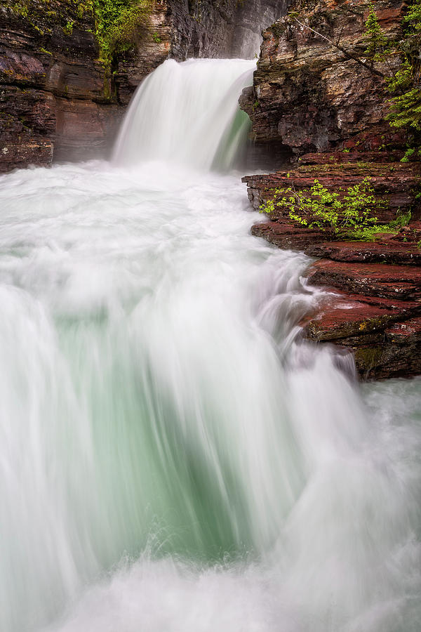 Force Of Nature Photograph by Ann Skelton | Fine Art America