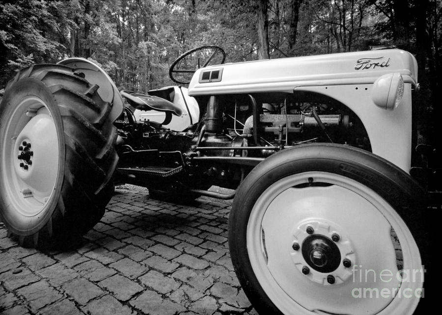 Ford 8n Tractor Photograph By Patrick Lynch