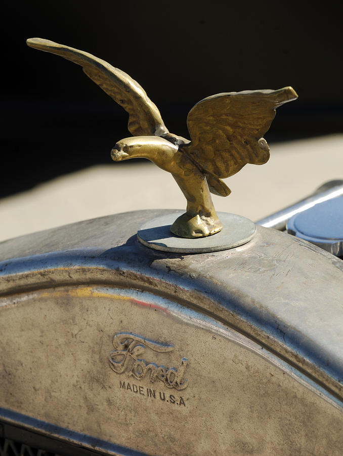 Car Photograph - Ford and an American Eagle by Jill Reger