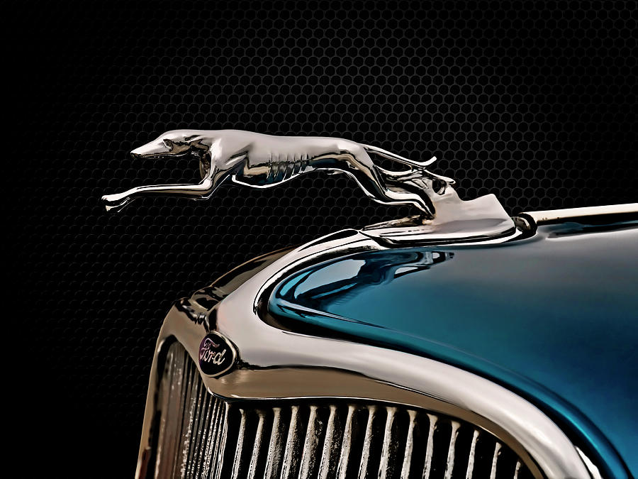 Vintage Digital Art - Ford Blue Dog by Douglas Pittman