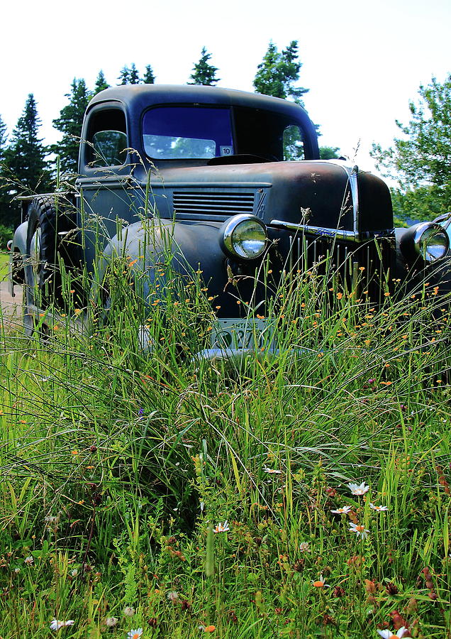 Ford Photograph by Doug Mills